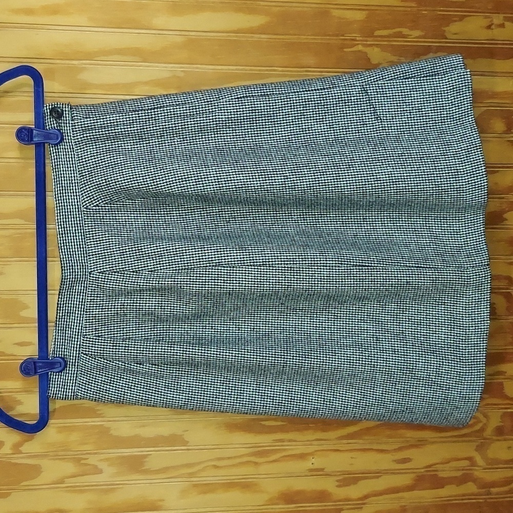 Briggs New York skirt